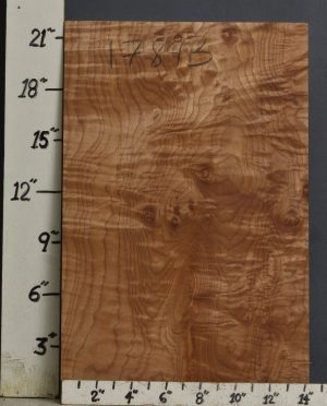 MUSICAL QUILTED MAPLE BILLET 14"3/8 X 22" X 1"7/8 (NWT1785B)