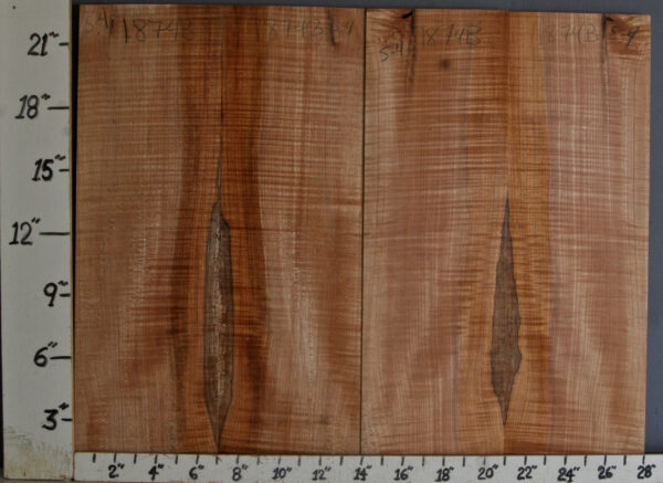 AAAAA CURLY SPALTED MAPLE 4 BOARD SET OF MICRO LUMBER 28" X 23" X 1/2 (NWTB1874)