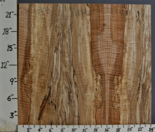 AAAAA SPALTED CURLY MAPLE 3 BOARD SET OF MICRO LUMBER 24" X 23" X 1/2 (NWTB1897)