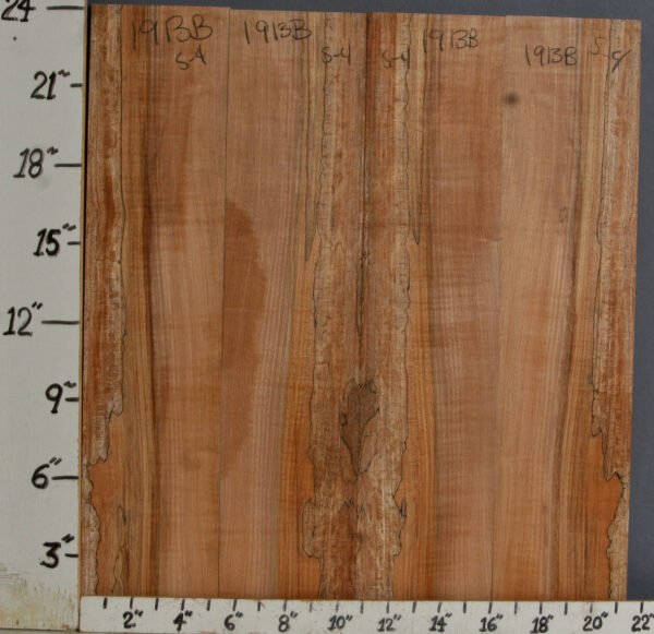 AAAAA SPALTED MAPLE 4 BOARD SET OF MICRO LUMBER 21"1/2 X 24"1/4 X 1/2 (NWTB1913)