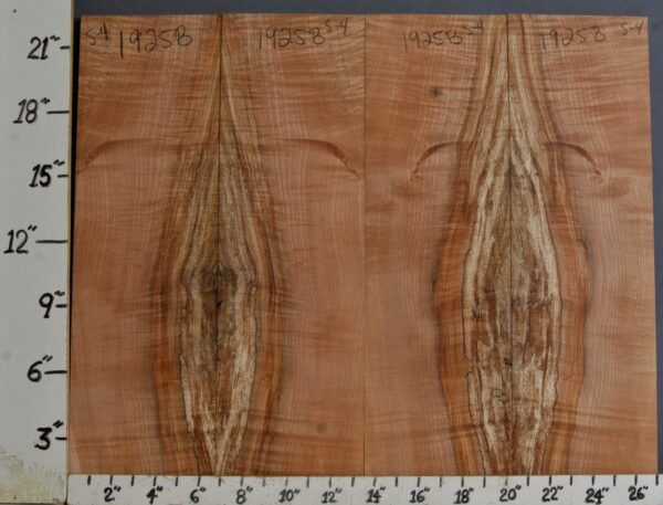 AAAAA SPALTED CURLY MAPLE 4 BOARD SET OF MICRO LUMBER 27"1/4 X 23" X 1/2" (NWT1925B)