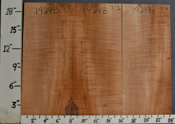 AAAAA CURLY MAPLE 3 BOARD SET OF MICRO LUMBER 24"1/2 X 19"3/4 X 1/2 (NWTB1929)