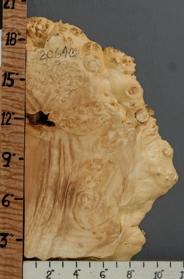 5A Burl Maple Lumber with Live Edge 11" X 17" X 1"1/8 (NWT-2064C)