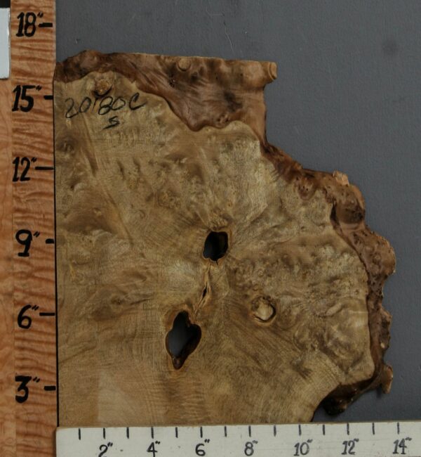 5A Burl Myrtlewood Lumber with Live Edge 13" X 16" X 1" (NWT-2080C) - Image 2