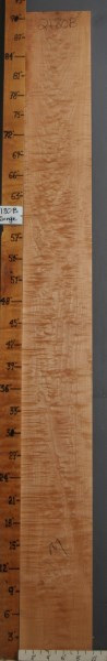 MUSICAL CURLY QUILTED MAPLE LUMBER 9"3/4 X 91"3/4 X 4/4 (NWTB2180)
