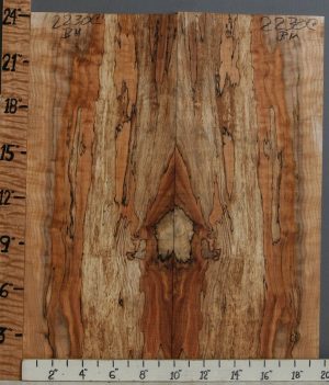5A Spalted Curly Maple Bookmatch 19"1/2 X 24" X 1/2 (NWT-2230C)