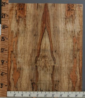5A Spalted Curly Maple Bookmatch 19"1/2 X 24" X 1/2 (NWT-2231C)