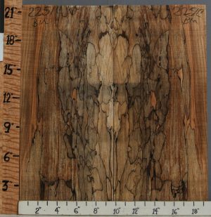 5A Spalted Maple Bookmatch 19"3/8 X 21" X 1/2 (NWT-2251C)