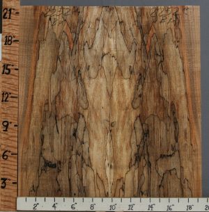 5A Spalted Maple Bookmatch 19"1/2 X 21" X 1/2 (NWT-2252C)