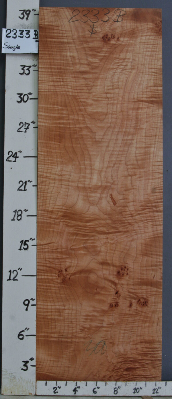 MUSICAL CURLY MAPLE BILLET 12"5/8 X 39" X 1"5/8 (NWTB2333)