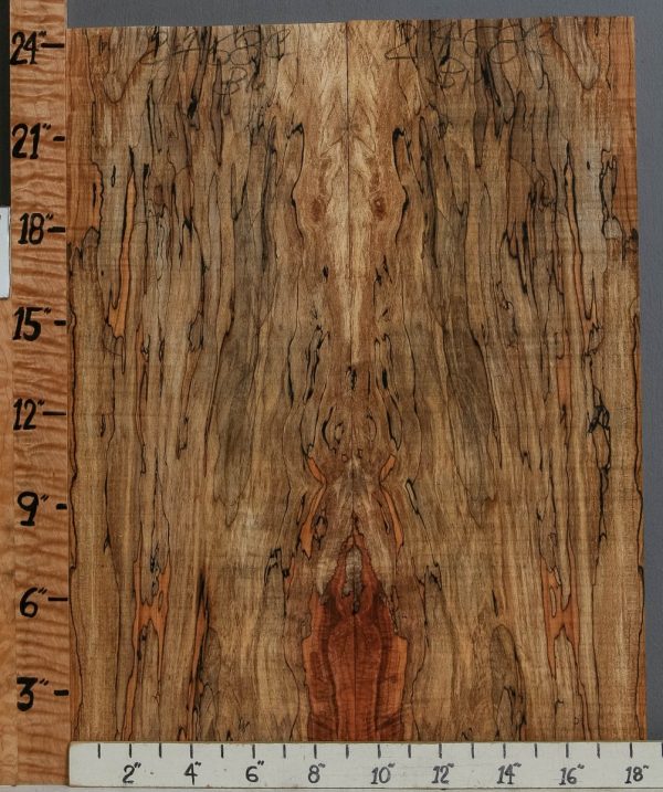 5A Spalted Curly Maple Microlumber Bookmatch 18"1/2 X 24" X 1/2 (NWT-2468C)