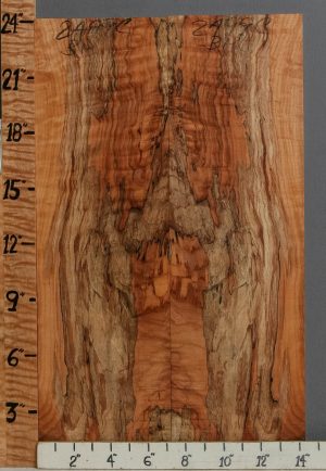 5A Spalted Curly Maple Microlumber Bookmatch 14"1/4 X 24" X 1/2 (NWT-2499C)