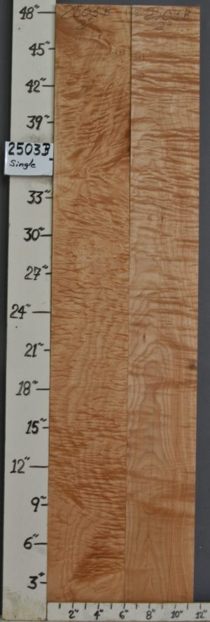 MUSICAL QUILTED MAPLE 2 BOARD SET 11"1/2 X 48" X 4/4 (NWTB2503)