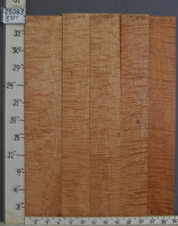 MUSICAL CURLY MAPLE 5 BOARD SET 25"3/4 X 36" X 4/4 (NWTB2508)