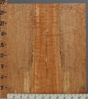 5A Spalted Curly Maple Microlumber Bookmatch 22" X 26" X 3/8 (NWT-2564C)