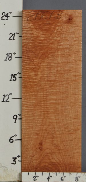 MUSICAL CURLY MAPLE BILLET 8"5/8 X 24" X 1"3/8 (NWTB2661)