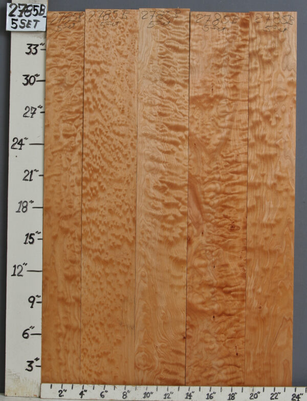 AAAA QUILTED MAPLE 5 BOARD SET 23"1/2 X 36" X 4/4 (NWTB2785)