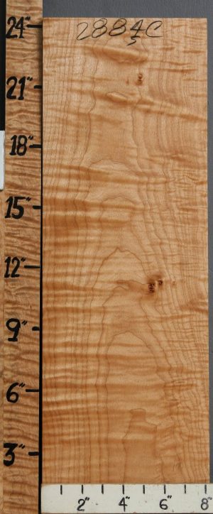 Musical Curly Maple Billet 8"1/8 X 24" X 1"3/4 (NWT-2884C)