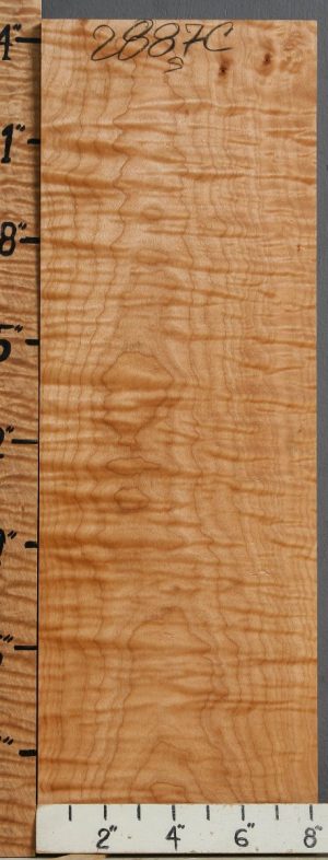 Musical Curly Maple Billet 8"1/8 X 24" X 1"3/4 (NWT-2887C)