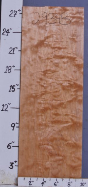 MUSICAL CURLY MAPLE BILLET 9"7/8 X 28" X 1"7/8 (NWTB2934)