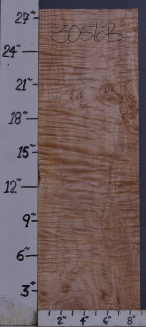 MUSICAL CURLY MAPLE BILLET 9" X 27"3/4 X 1"1/4 (NWTB3056)
