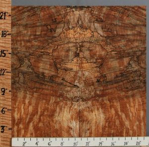 5A Spalted Maple Microlumber Bookmatch 21" X 22" X 5/8 (NWT-3509C)