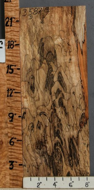 5A Spalted Maple Microlumber 8"1/4 X 22" X 1/2 (NWT-3587C)