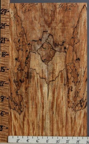 5A Spalted Maple Bookmatch Microlumber 15"7/8 X 28" X 1/2 (NWT-3652C)