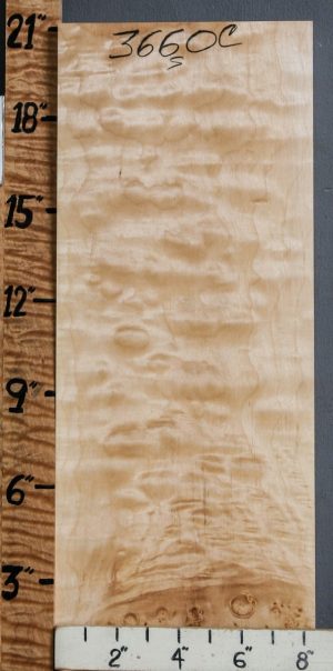 Musical Quilted Maple Billet 8"3/8 X 20" X 2"1/2 (NWT-3660C)
