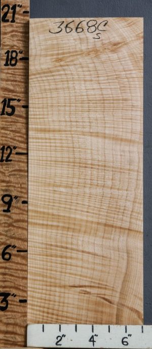 Musical Curly Maple Billet 7"1/8 X 20" X 2"7/8 (NWT-3668C)