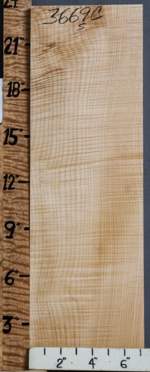 Musical Curly Maple Billet 7"1/4 X 23" X 2"1/2 (NWT-3669C)