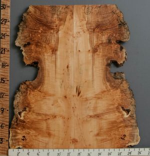 5A Spalted Burl Maple Bookmatch with Live Edge 23" X 30" X 7/8 (NWT-3691C)