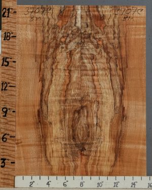 5A Spalted Curly Maple Microlumber Bookmatch 15"1/2 X 21" X 1/2 (NWT-3707C)