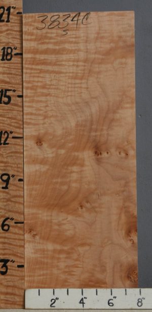5A Quilted Maple Block 7"7/8 X 20" X 1"7/8 (NWT-3834C)