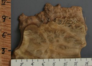 5A Burl Myrtlewood Lumber with Live Edge 13" X 11" X 1"1/2 (NWT-3905C)