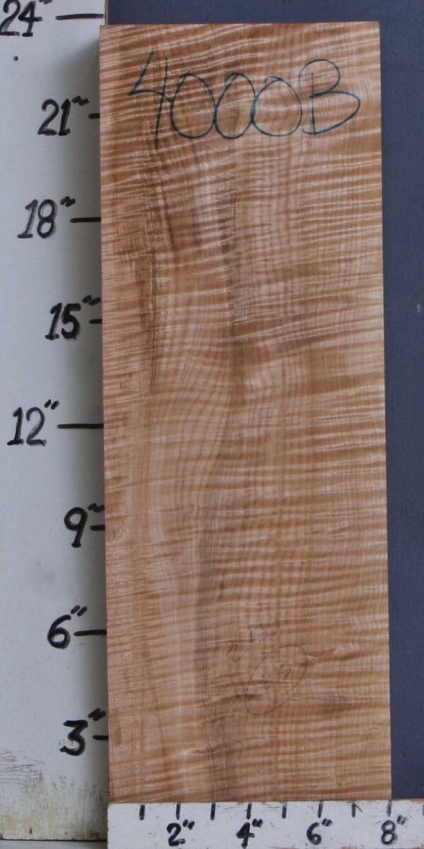 MUSICAL CURLY MAPLE BILLET 8" X 23"1/2 X 2"3/4 (NWTB4000)