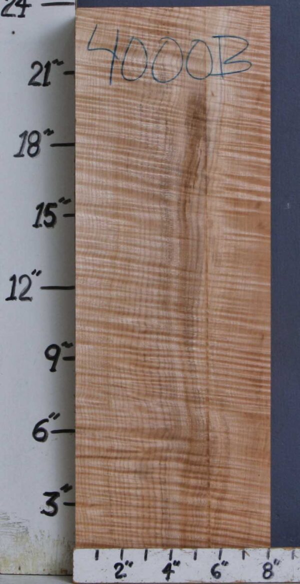 MUSICAL CURLY MAPLE BILLET 8" X 23"1/2 X 2"3/4 (NWTB4000) - Image 2