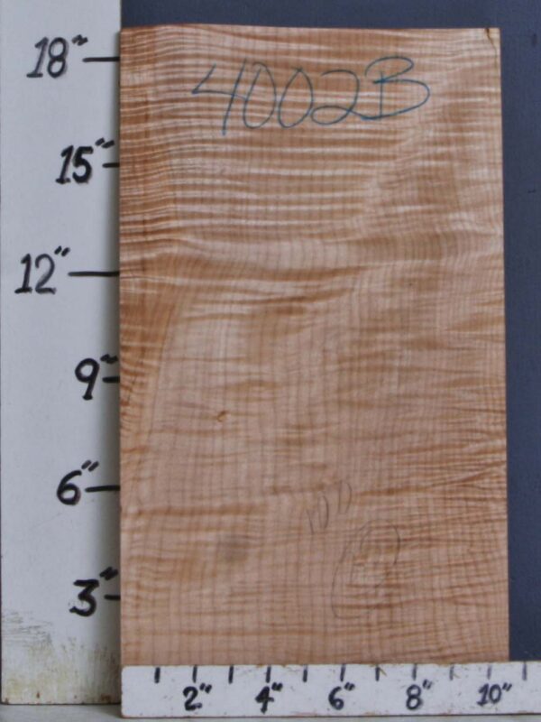 MUSICAL CURLY MAPLE BILLET 10"1/2 X 18"3/4 X 1"1/8 (NWTB4002)