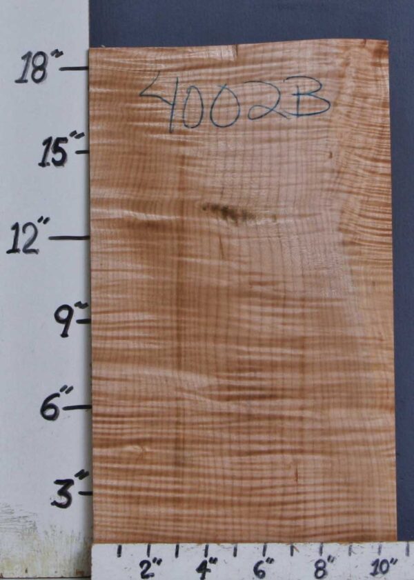 MUSICAL CURLY MAPLE BILLET 10"1/2 X 18"3/4 X 1"1/8 (NWTB4002) - Image 2