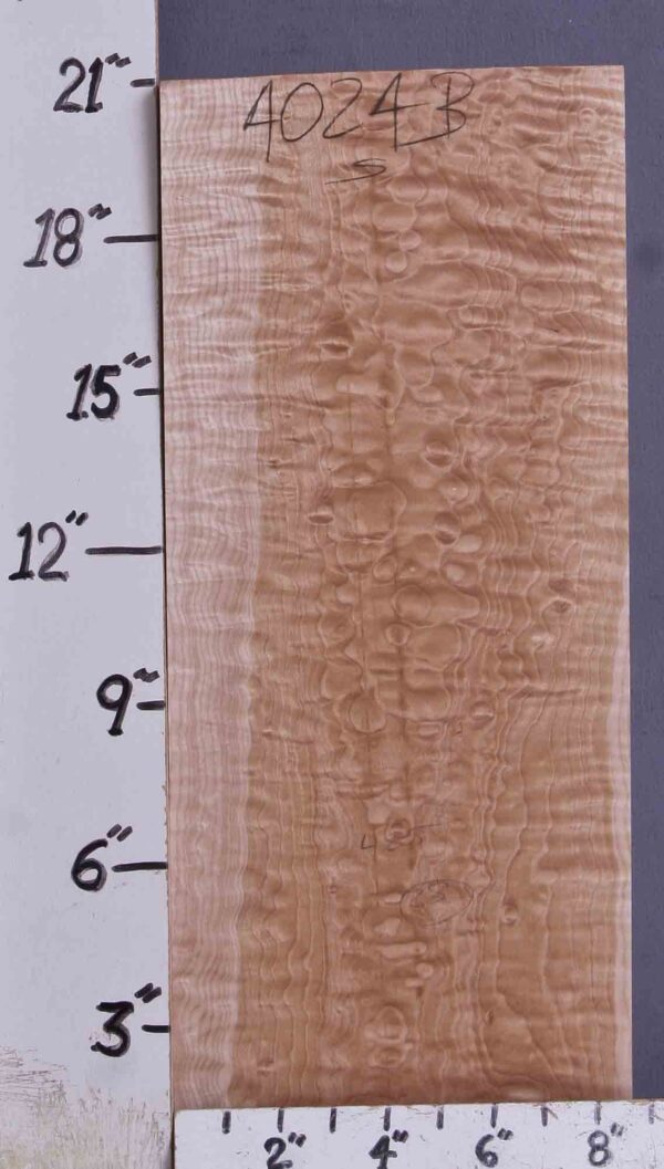 MUSICAL QUILTED MAPLE BILLET 8"3/8 X 21" X 2"3/4 (NWTB4024)