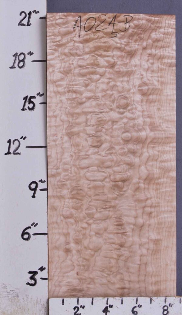 MUSICAL QUILTED MAPLE BILLET 8"3/8 X 21" X 2"3/4 (NWTB4024) - Image 2