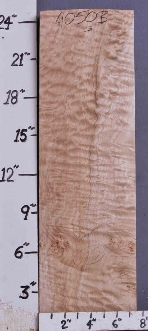 MUSICAL QUILTED MAPLE BILLET 7"3/8 X 24"1/2 X 2"1/8 (NWTB4050)