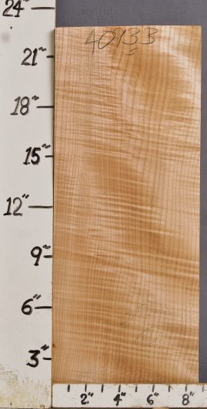 MUSICAL CURLY MAPLE BILLET 8"3/4 X 22"1/2 X 1"5/8 (NWTB4093)