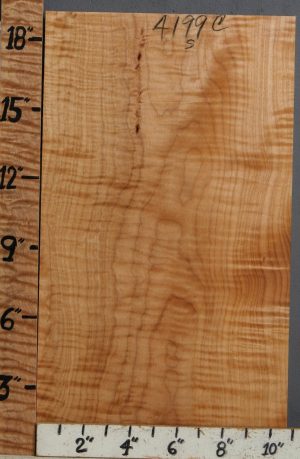 Musical Curly Maple Billet 10"3/4 X 19" X 1"3/4 (NWT-4199C)