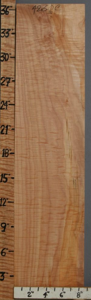 Musical Curly Maple Lumber 8"5/8 X 36" X 6/4 (NWT-4260C)