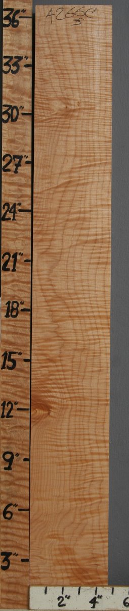 Musical Curly Maple Lumber 4"3/4 X 36" X 6/4 (NWT-4266C)