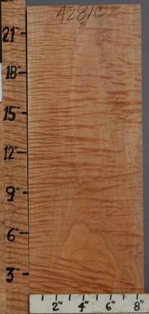 Musical Curly Maple Billet 8"1/2 X 23" X 1"1/4 (NWT-4281C)