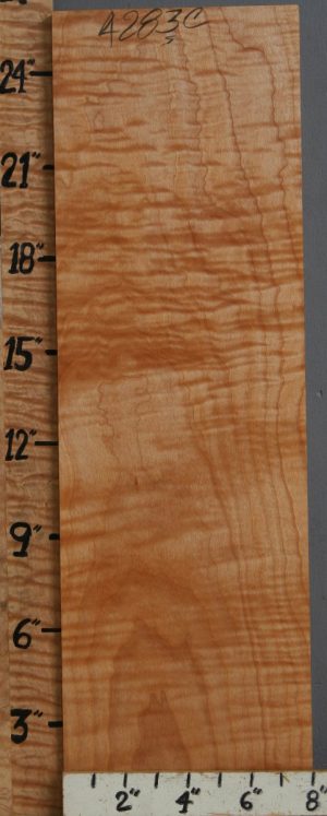 Musical Red Heart Curly Maple Billet 7"7/8 X 26" X 1"3/4 (NWT-4283C)