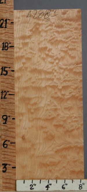 5A Quilted Maple Block 8"1/2 X 22" X 11"1/4 (NWT-4288C)