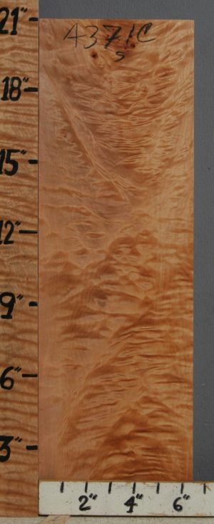 5A Quilted Maple Block 6"1/2 X 21" X 1"7/8 (NWT-4371C)